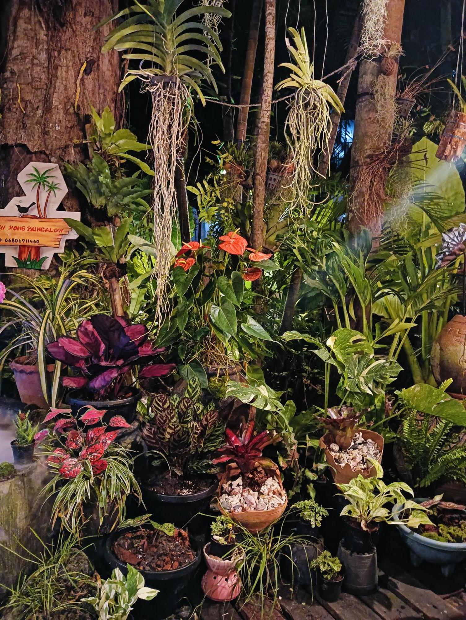 P P Garden Home Bungalow 皮皮岛 外观 照片