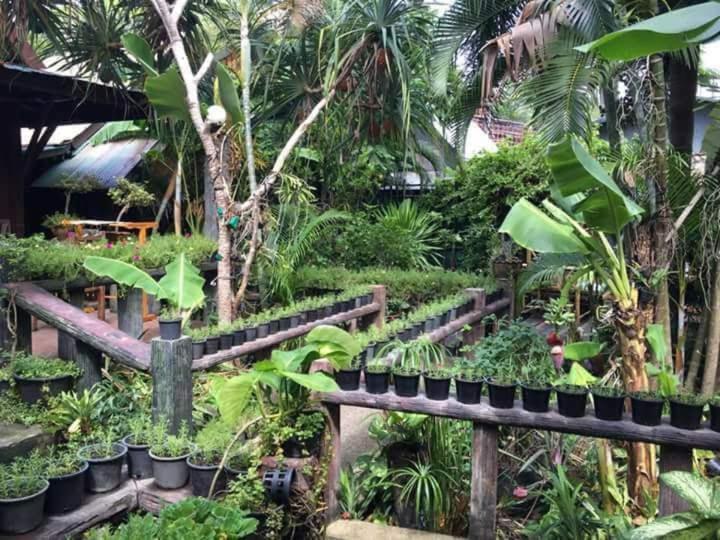 P P Garden Home Bungalow 皮皮岛 外观 照片